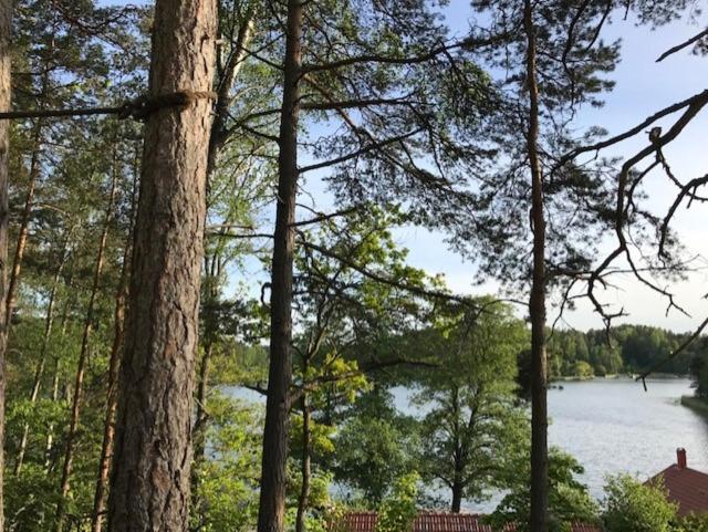 Forest Glamping Värmdö Extérieur photo
